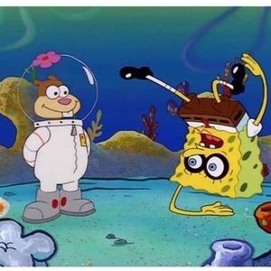 Meet your Posher, Ella